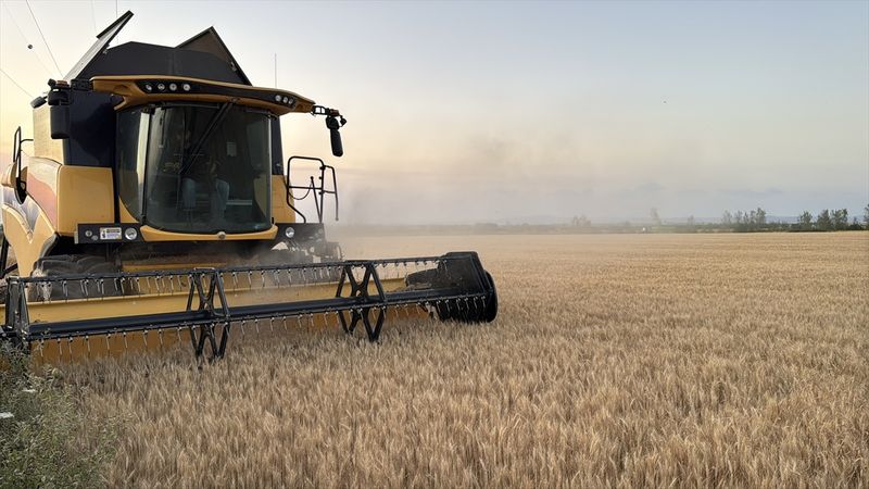 Trakya'da buğday hasadında sona yaklaşıldı