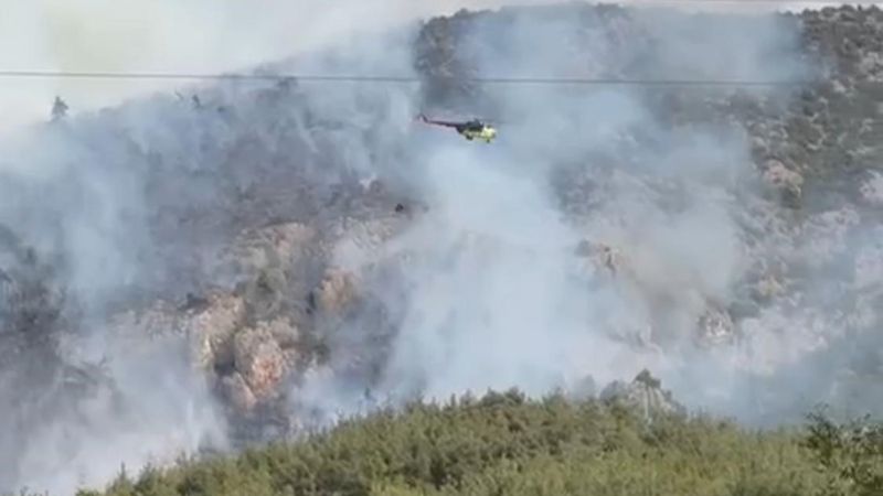 Bilecik'te bir başka orman yangını daha başladı