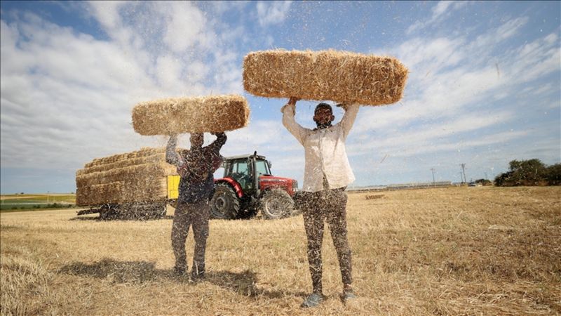 Trakya'da balya işçilerinin kavurucu sıcaktaki mesaisi zorluyor