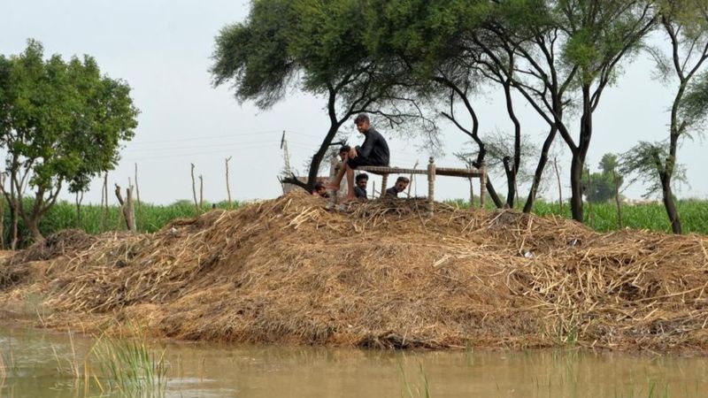 Pakistan'da sel felaketi: Ölenlerin sayısı 104'e çıktı