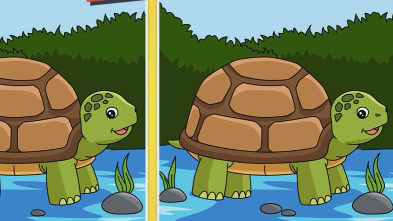 Dikkat testi: İki resim arasındaki 2 farkı 7 saniyede bulun!