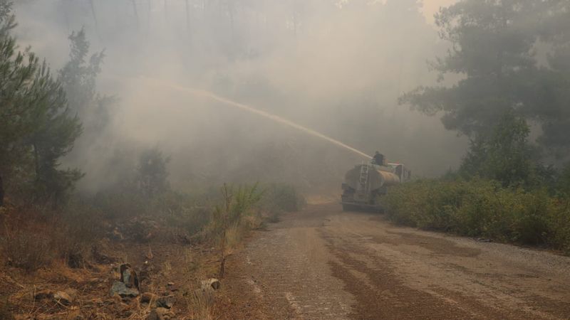Suriye Lazkiye'de orman yangınları kontrol altına alınmaya başladı