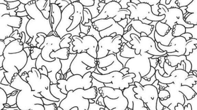 Fillerin Arasında Gizli Bir Balina Var! 100 Kişiden 1'i Zar Zor Görüyor...