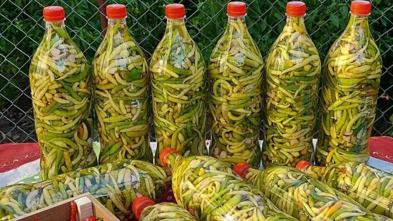 Bu turşu su istemiyor; Pet şişeye dizin, 24 saat  bekleyin...