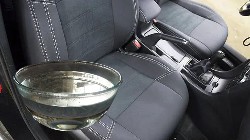 Yolcu koltuğuna bir kase su koymak bakın ne işe yarıyormuş…