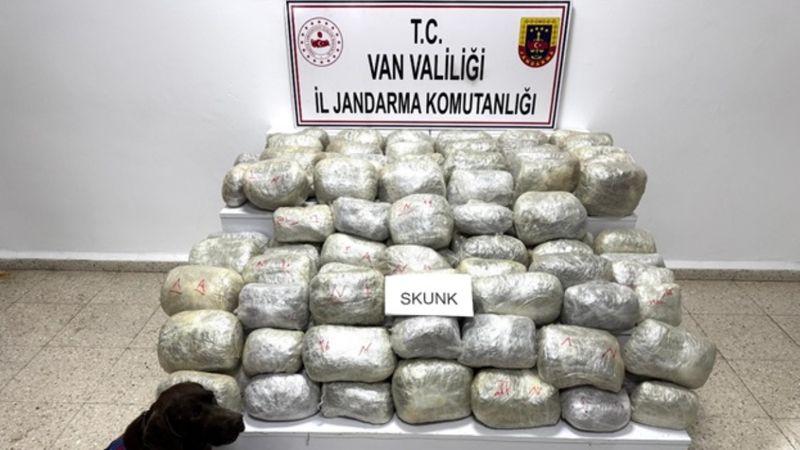 Van'da 70 kilo skunk ele geçirildi