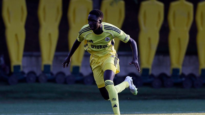 Vize engeli! Fenerbahçe'nin yeni transferi kampa katılamadı