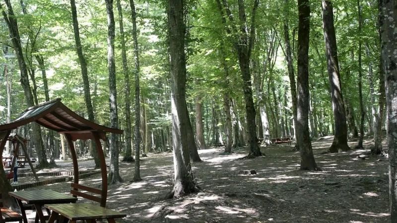 Kamp ve piknikçiler dikkat! 30 Ekim’e kadar yasaklandı