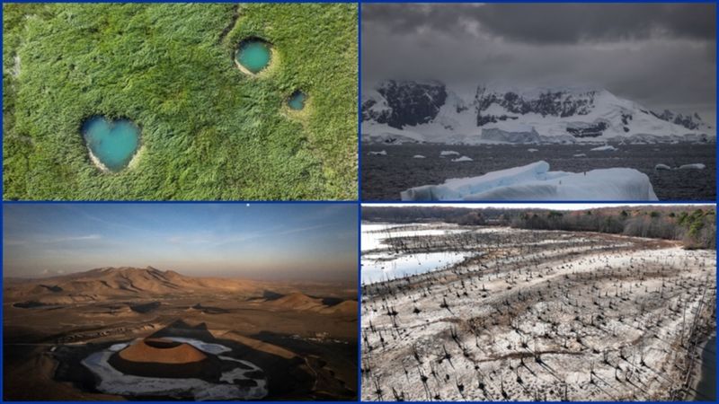 Dünya genelinde sulak alan kaybının bilançosu