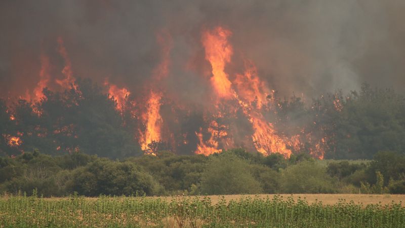 Tekirdağ'da başlayarak Çanakkale'ye ulaşan yangın, yeniden alevlendi