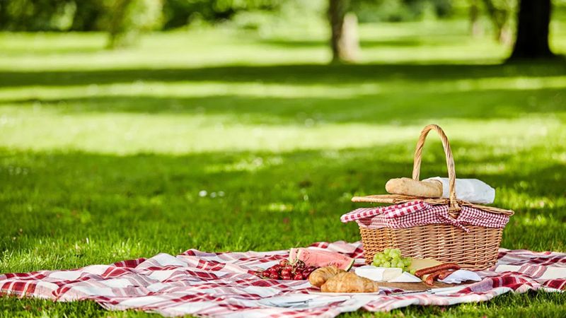 Yeşile yakın, gürültüye uzak: İstanbul piknik rehberi