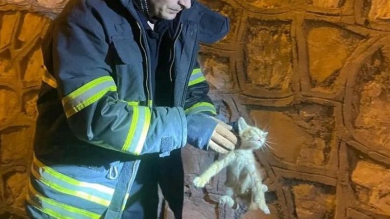 Hatay'da duvar arasında sıkışan yavru kedi kurtarıldı
