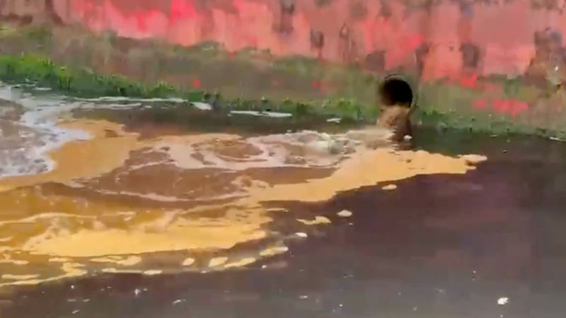 Yalova'da Marmara Denizi'ni kirleten tersaneye 3,7 milyon lira ceza