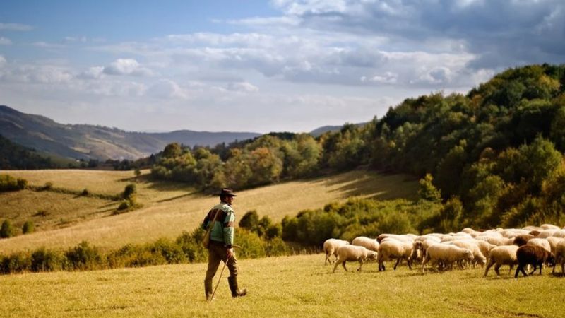 Dünyanın en eski mesleği bakın neymiş! İşte en eski meslek