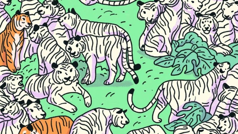 Gizli zebra nerede? 130+ IQ seviyesindekiler anında fark ediyor