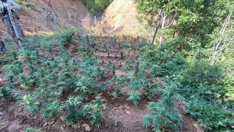 Bingöl’de uyuşturucuyla mücadele hız kesmiyor