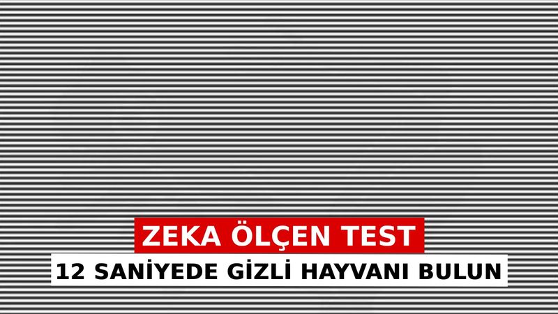 Dahi misin, sıradan mı? Bu görseldeki hayvanı herkes göremiyor