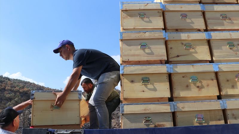 İzmir'de yeni hayvan ve kovan dağıtımı başladı