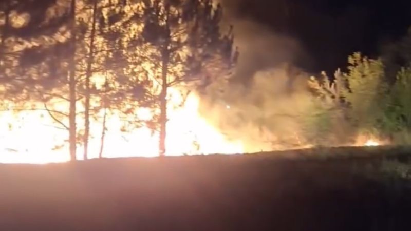 Bolu’da örtü yangını ormana sıçramadan söndürüldü