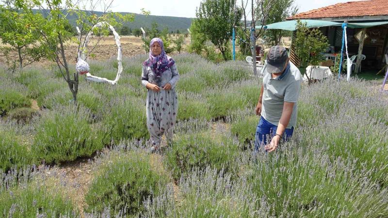 1 dönümle başladı, 30 dönüme çıkardı: Hobisiyle geçiniyor...