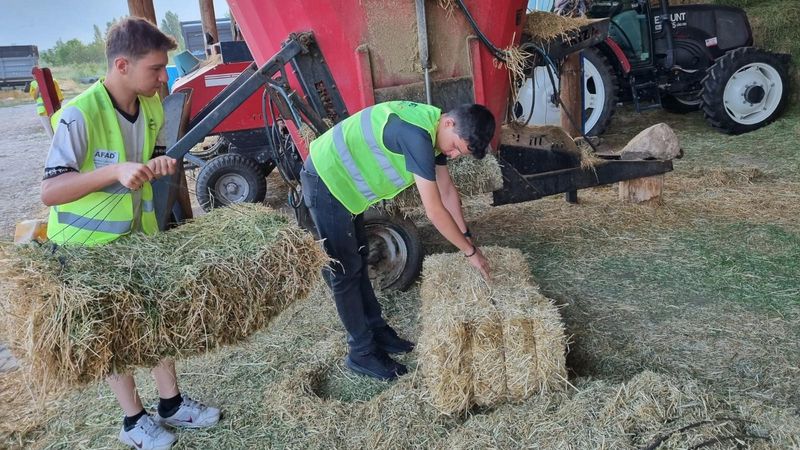 Erzincan'da liseli gençler, köy hayatını deneyimliyor
