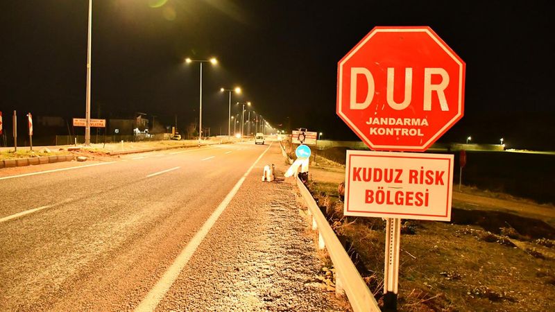 Siirt'te kuduz alarmı: Bir köyde hayvan hareketi kısıtlandı