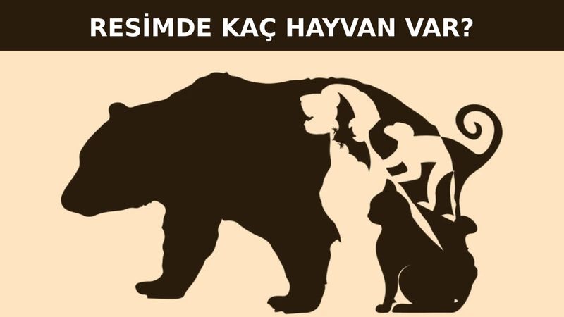 IQ testi: Resimde toplam kaç hayvan var? 7 saniyede bulan dahi çıkıyor