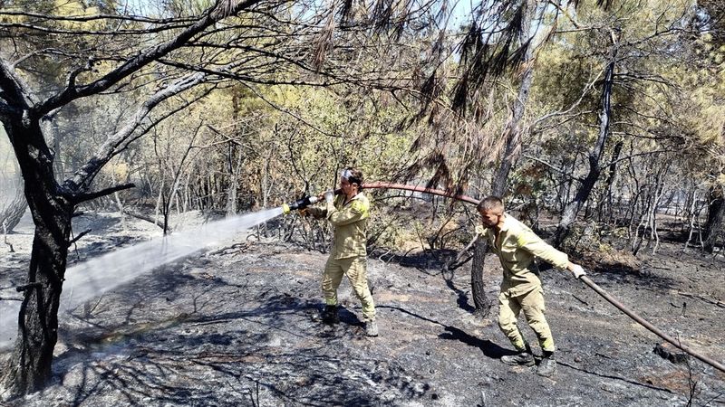 Sinop'ta orman yangınında 8 dönüm alan zarar gördü