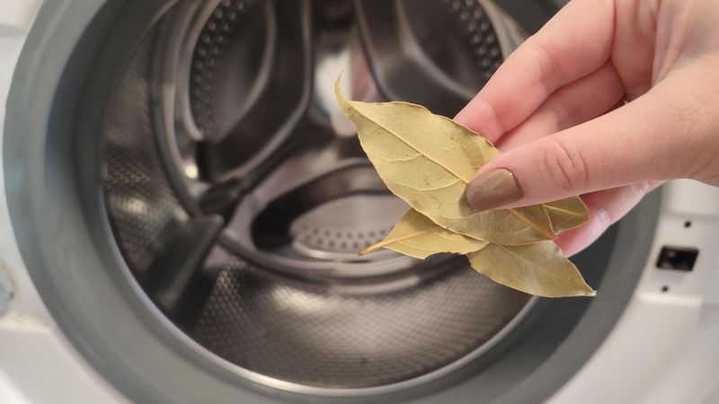 Çamaşır makinesine birkaç yaprak atın, kokudan küften eser kalmıyor