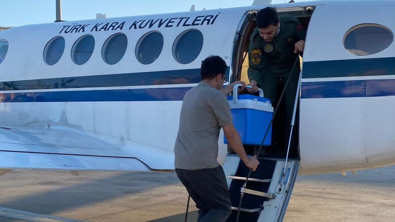 Ankara'da kalp grefti, Kara Kuvvetleri'ne ait uçakla İstanbul'a getirildi