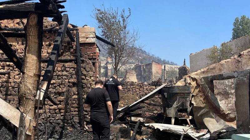 Sakarya'da orman yangını sonrası hasar tespit çalışmaları başladı