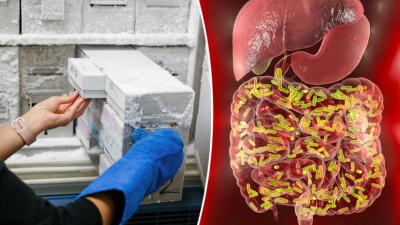 İsviçre'deki bilim insanları insan dışkısını donduruyor