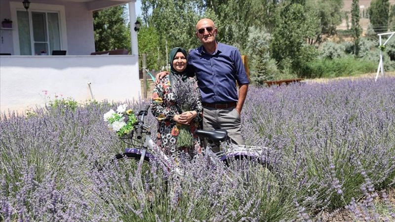 Samsun'da astım hastası eşi için yerleştiği köyde lavanta bahçesi kurdu