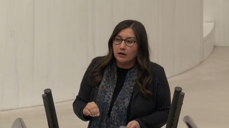 DEM Partili vekilden 'S tipi hapishaneler kapatılsın' çıkışı