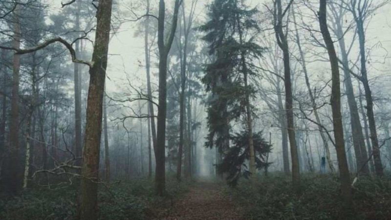 Tilki nerede? 15 saniyede bulan zekasını kanıtlıyor…