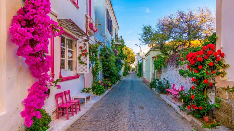 İlk kez giden de defalarca giden de bu rehberde: Adım adım Bozcaada