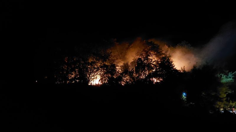 Sakarya'daki orman yangınında yeni gelişme: 1 kişi tutuklandı