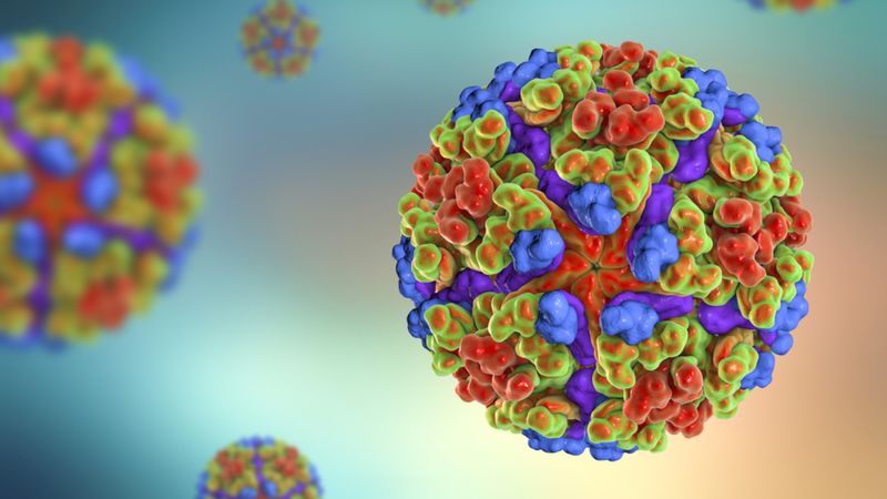 Koronavirüs gibi geliyor: 119 ülkede görüldü! Türkiye de riskli...