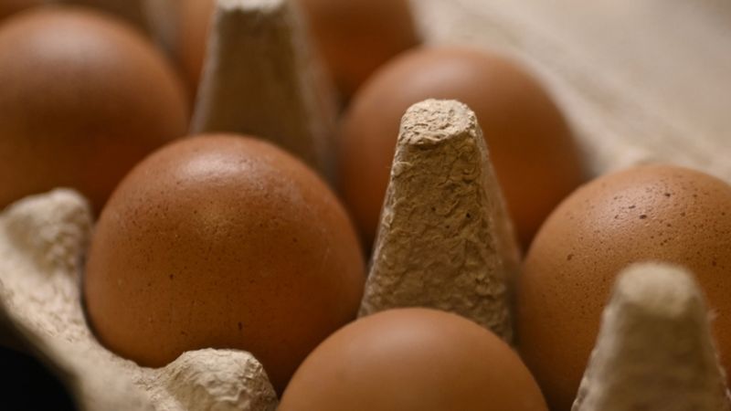 Ticaret Bakanlığı: Sofralık yumurta ihracatında uygulanan fon kesintisi kaldırıldı