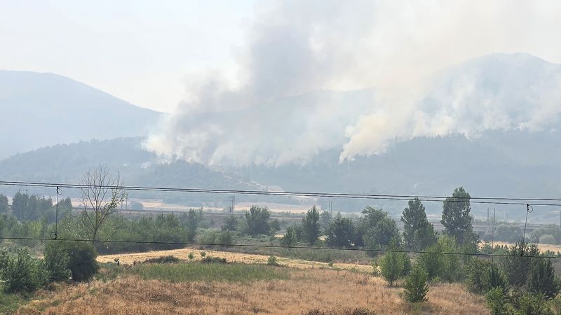 Bilecik'te alevler yeniden yükseldi: Zeytinliği yanan köylü o anları anlattı