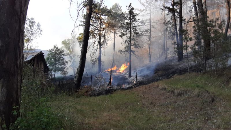 Bolu’da orman yangını