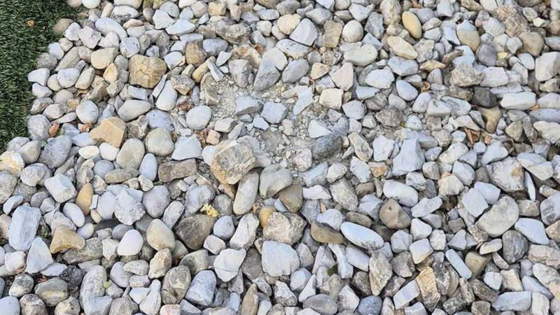 Optik illüzyon: Golf topunu 5 saniyede bulun, keskin nişancı olun...