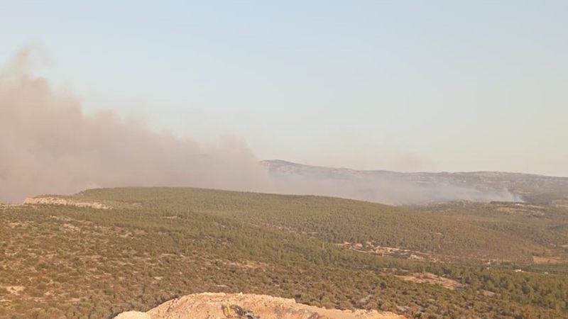 Mersin'de orman yangını