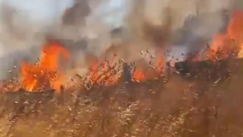 Silivri'nin 4 ayrı noktasında anız yangını çıktı: 50 dönüm arazi zarar gördü