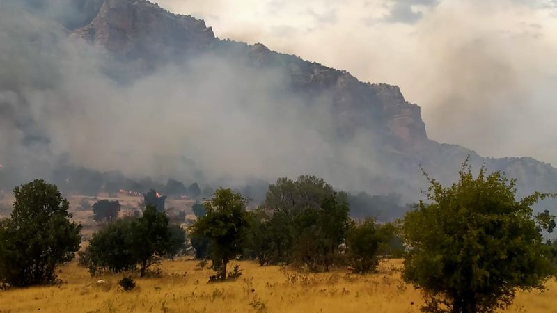 Diyarbakır'da yangın kontrol altında