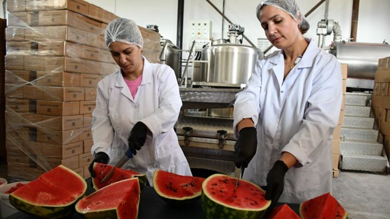 Bilecik'te karpuzdan pekmez yaptılar, değeri 25 kat arttı