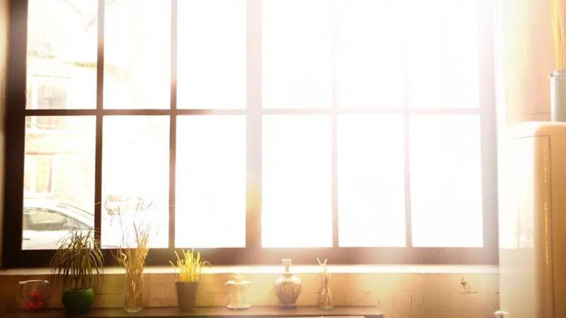 Sakın açık bırakmayın: Evi sera gibi ısıtıyor...