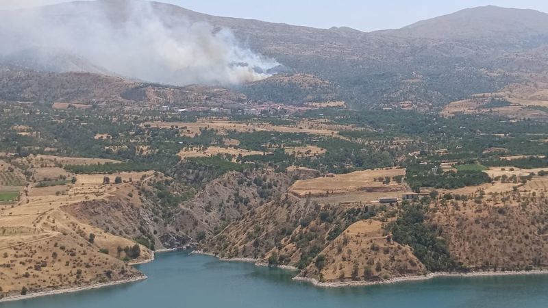Malatya'da orman yangını paniği