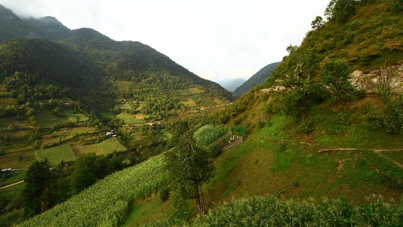 Türkiye'nin saklı cenneti Macahel Vadisi doğası ile büyülüyor