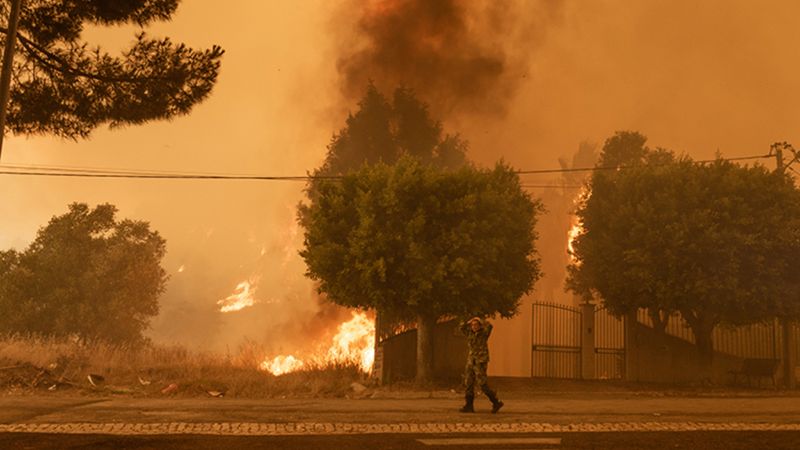 Portekiz ve İspanya'da orman yangınlarıyla mücadele